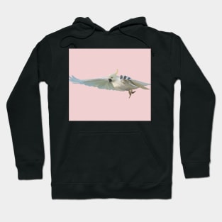 Cockatoo on Pink Hoodie